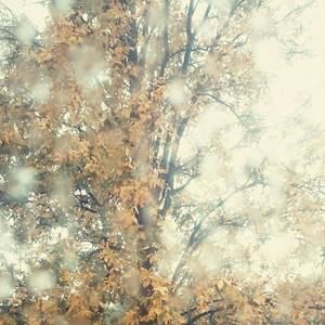 Meet your Posher, Minh-tri